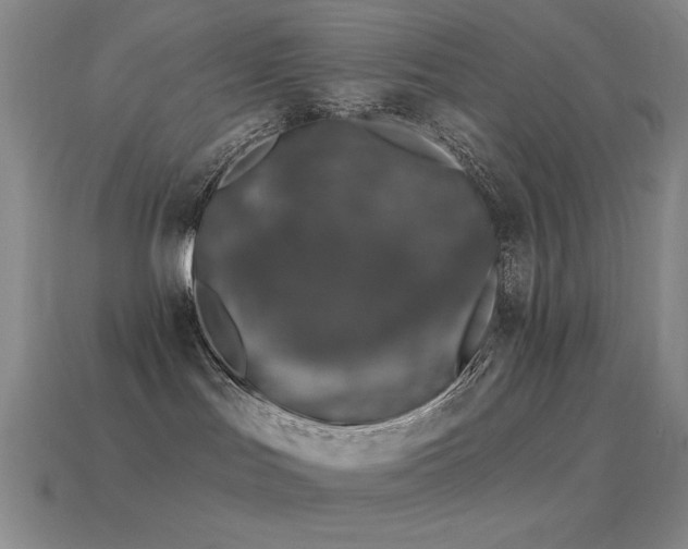 X0000115490047200911061316