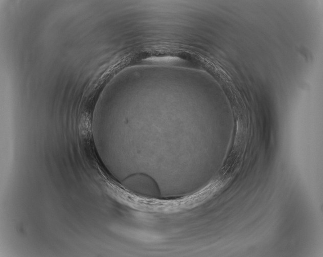 X0000115490048200911061316