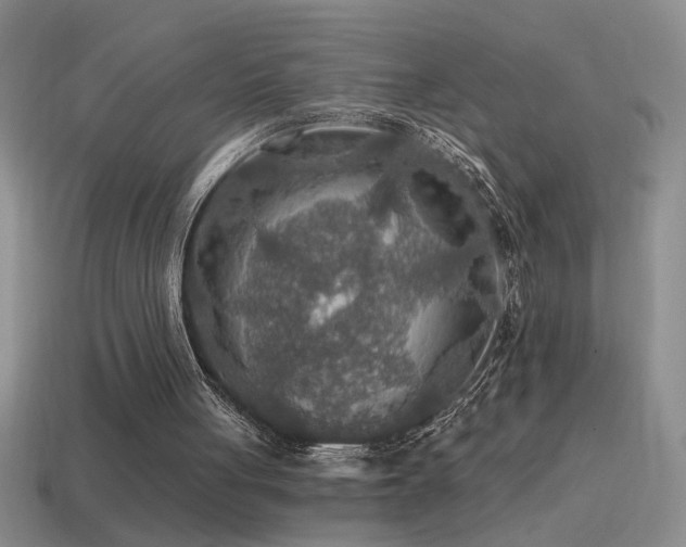 X0000115490051200911061315