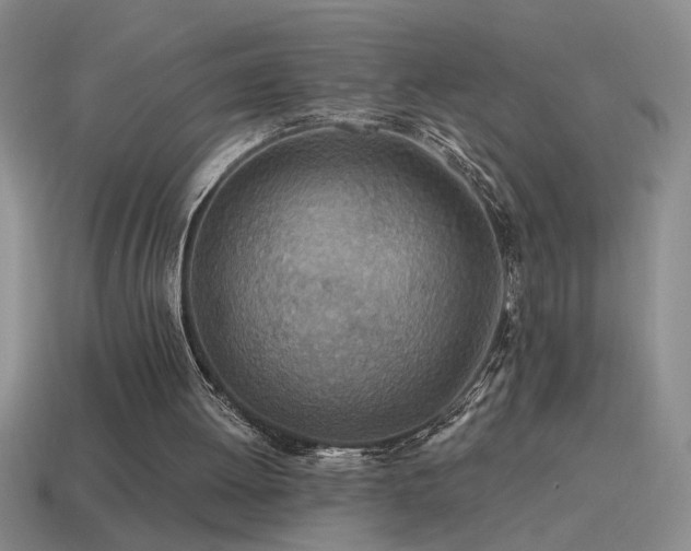 X0000115490052200911061315