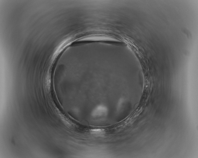 X0000115490053200911061315