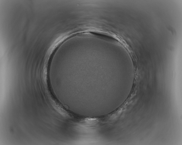 X0000115490055200911061315