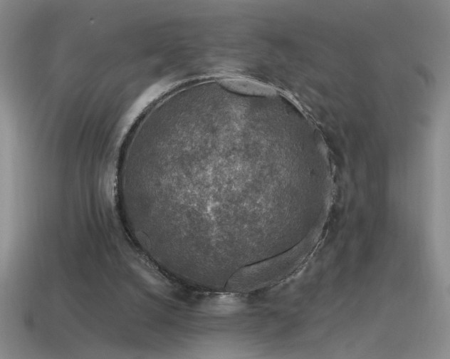 X0000115490056200911061315