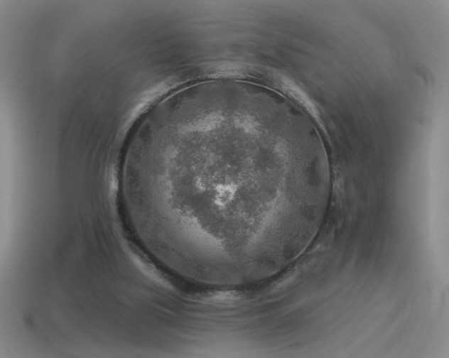 X0000115490059200911061315