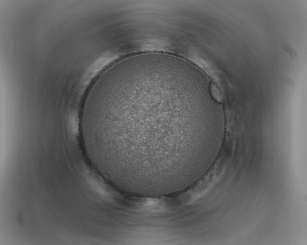X0000115490060200911061315
