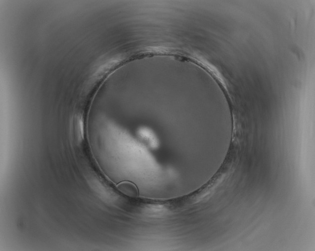 X0000115490061200911061315
