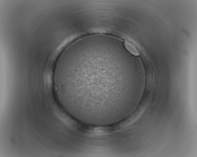 X0000115490064200911061315