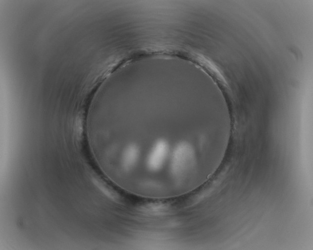 X0000115490065200911061315
