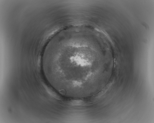 X0000115490066200911061315