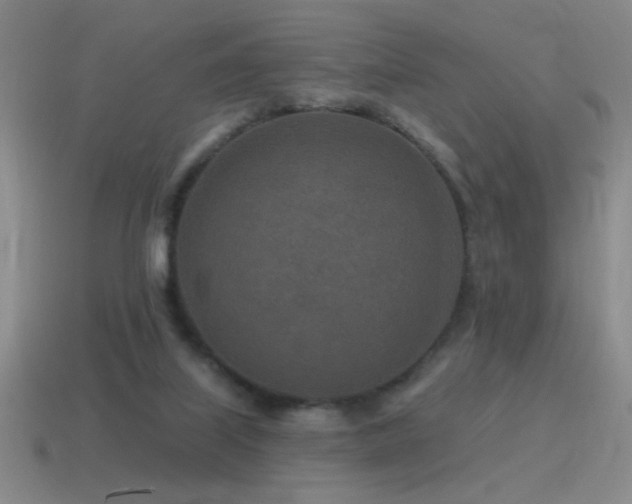 X0000115490067200911061315