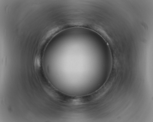 X0000115490068200911061315