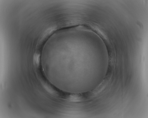 X0000115490070200911061315
