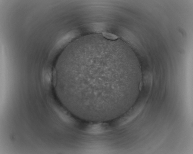 X0000115490072200911061315