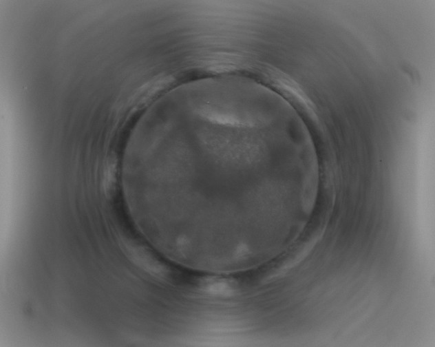 X0000115490073200911061315