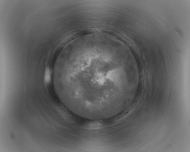 X0000115490075200911061315