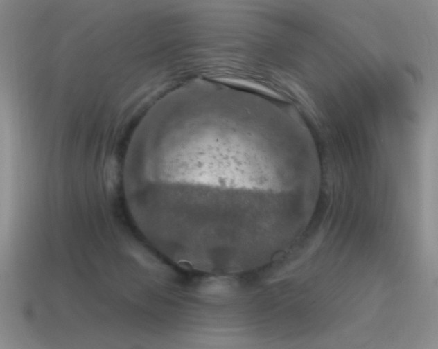 X0000115490077200911061315