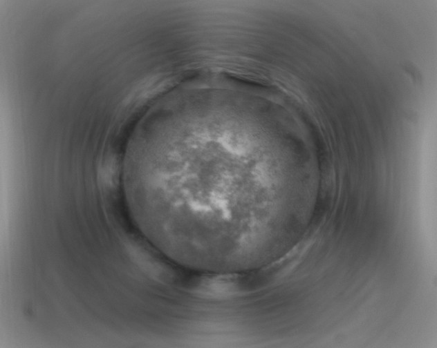 X0000115490078200911061315