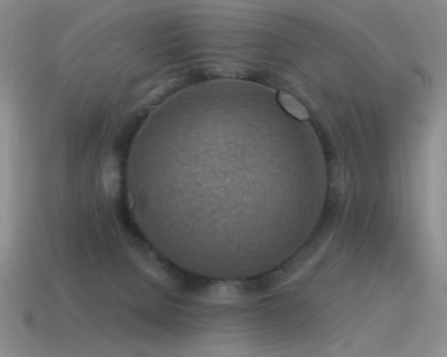 X0000115490080200911061315