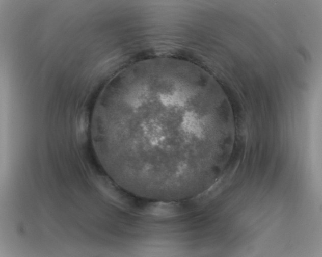 X0000115490082200911061315