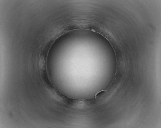 X0000115490083200911061315