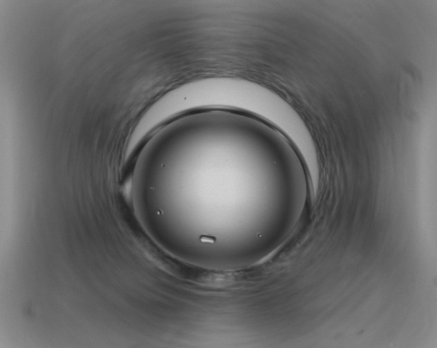 X0000115490084200911061315