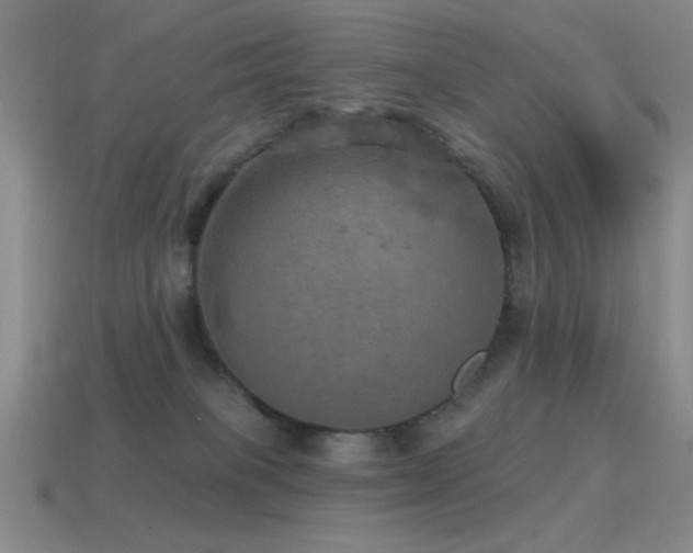 X0000115490085200911061315