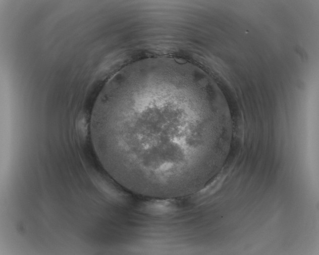 X0000115490086200911061315