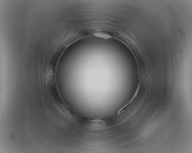 X0000115490087200911061315