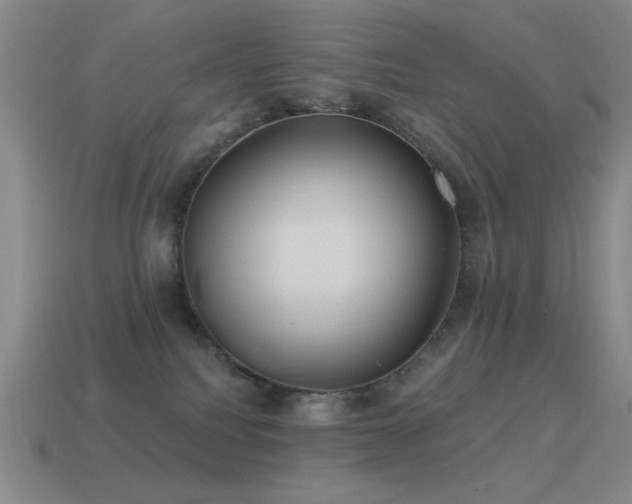X0000115490088200911061315