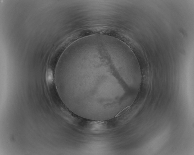 X0000115490089200911061315