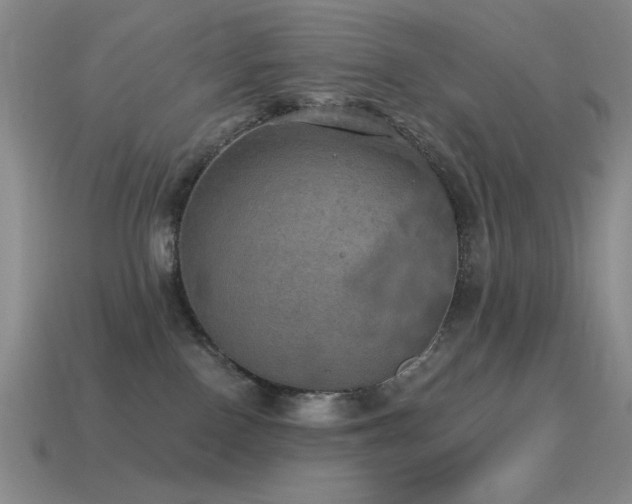 X0000115490090200911061315