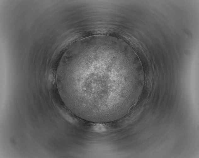 X0000115490091200911061315
