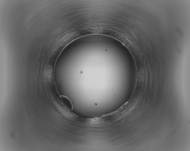 X0000115490092200911061315