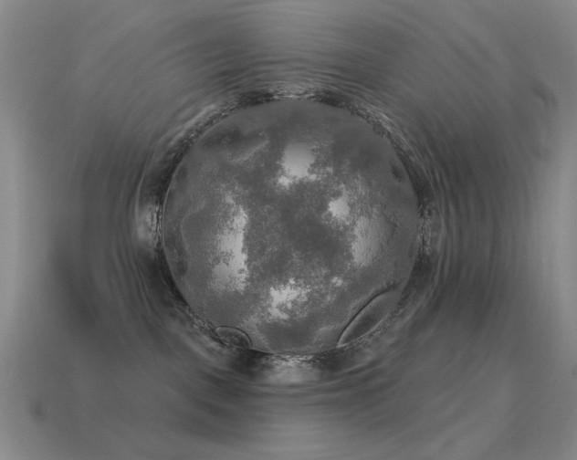 X0000115490093200911061315