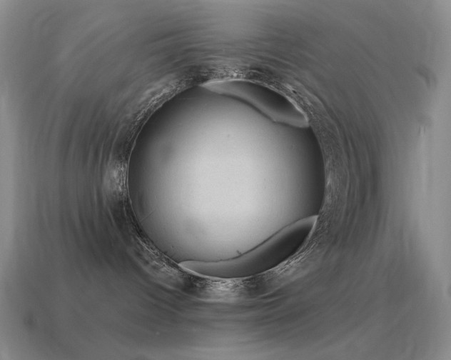 X0000115490096200911061316