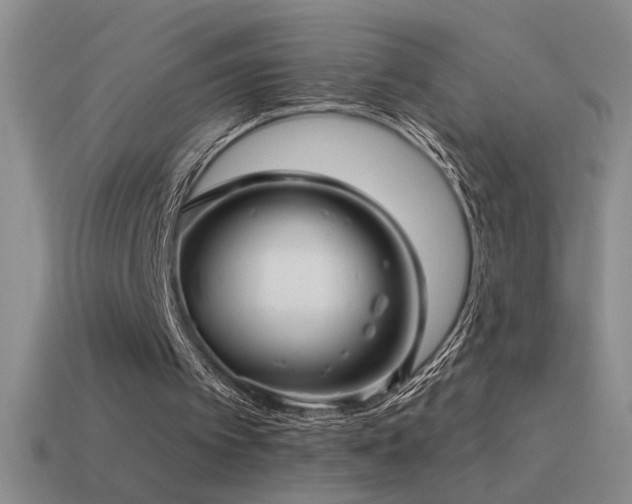 X0000115490097200911061315