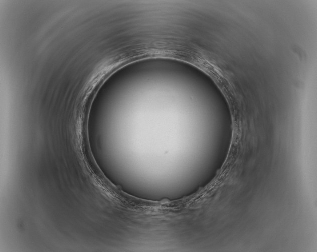 X0000115490098200911061315