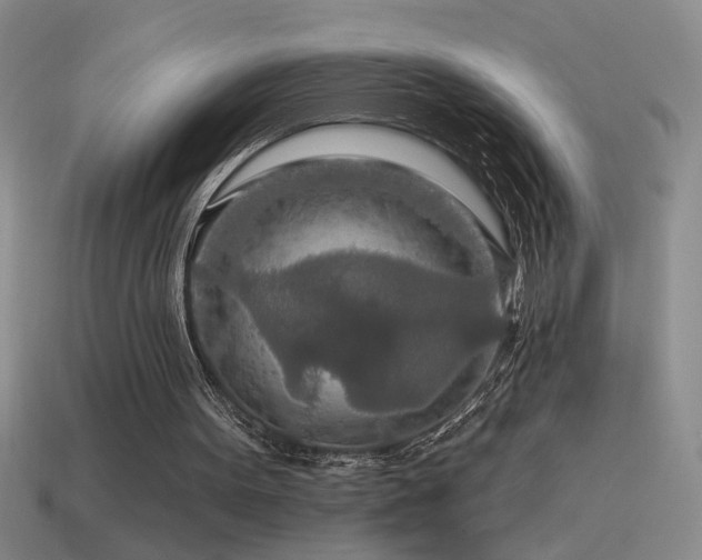 X0000115490099200911061315