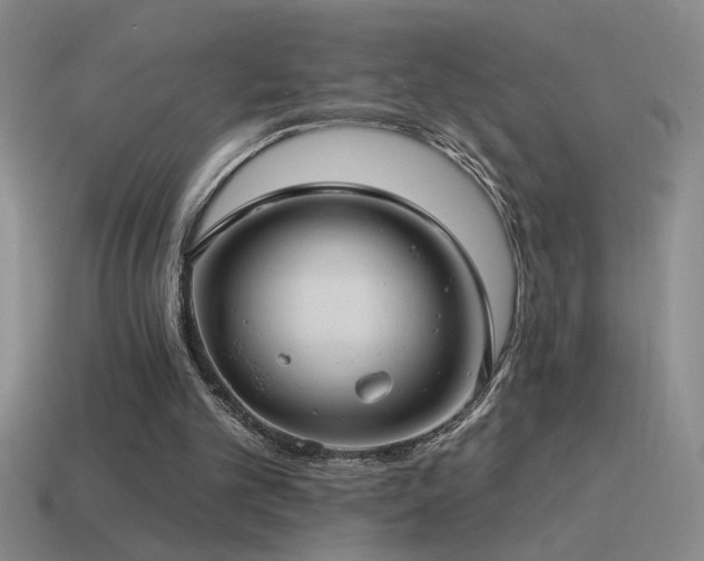 X0000115490101200911061315