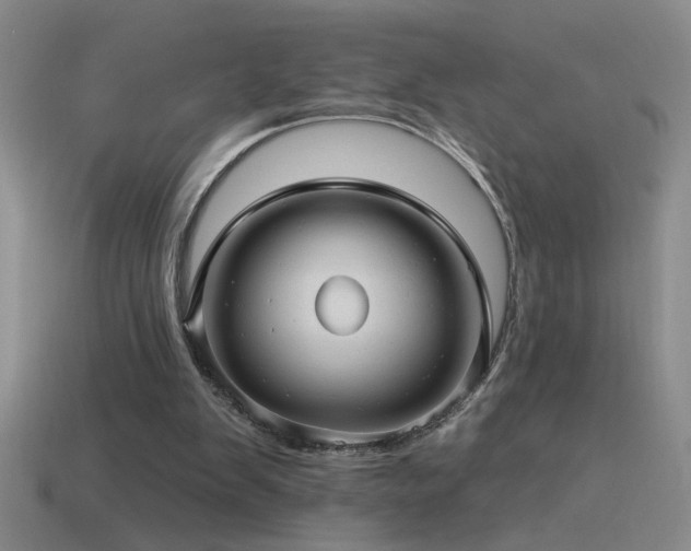 X0000115490103200911061315