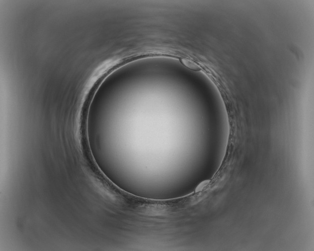 X0000115490104200911061315
