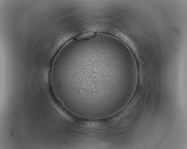 X0000115490105200911061315