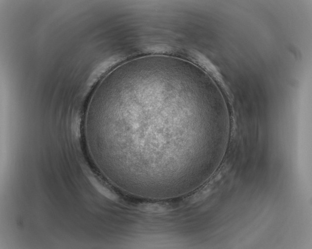X0000115490106200911061315