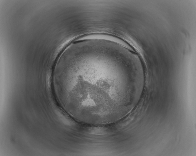 X0000115490107200911061315