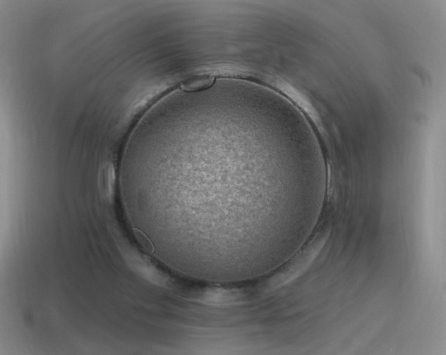 X0000115490109200911061315