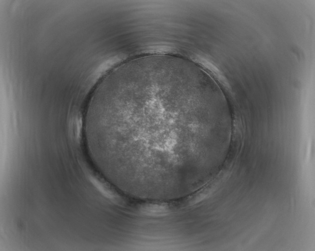 X0000115490110200911061315