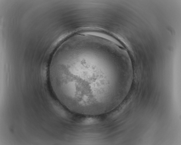 X0000115490111200911061315
