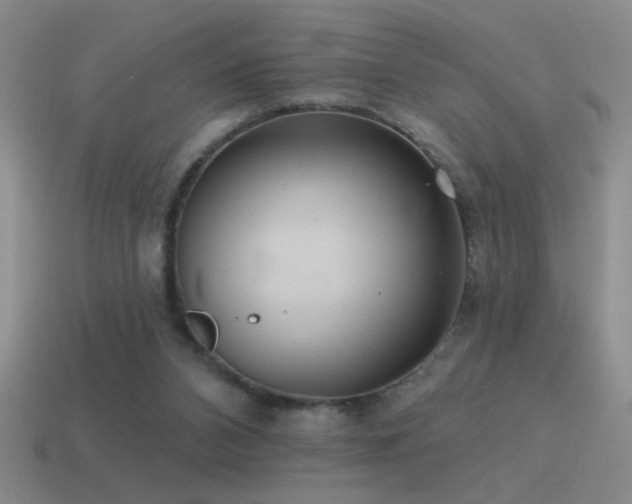 X0000115490112200911061315