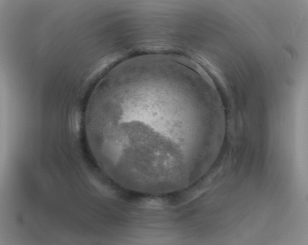 X0000115490115200911061315