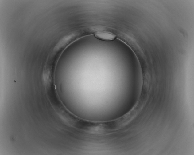 X0000115490116200911061315